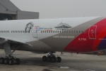 서울과 파리의 대표이미지인 경회루와 개선문을 새긴 아시아나항공의 B777 항공기
