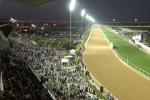’08 두바이월드컵, 지상최대 ‘말들의 올림픽’