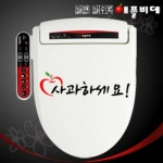 애플비데(APPLE 310)