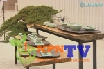 NPN-TV, 생활 속의 도자기가 주제인 ‘경기 국제 도자 페어’ 소식 방영