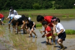 혼불문학권역 2008년 친환경쌀 모내기 체험행사