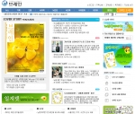 브레인미디어