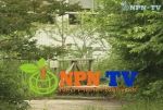 NPN-TV, 회색빛 도시를 초록 공원으로 만드는 ‘옥상 공원화 사업’ 방영