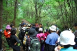 숲연구소(소장 남효창, www.ecoedu.net)에서는 일반인을 대상으로 오는 7월 1일부터 29일까지 ‘숲생태아카데미 입문과정’을 시작한다고 18일 밝혔다. 
