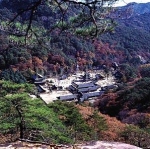 숲연구소(소장 남효창, www.ecoedu.net)에서는 일반인을 대상으로 오는 7월 26일부터 1박 2일 일정으로 ‘속리산 생태 트레킹’을 실시한다고 8일 밝혔다. 