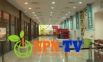 NPN-TV ‘팝아트의 세계-POP N POP 展’ 소개