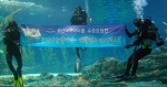 2008 베이징 올림픽, 부산아쿠아리움 수중 응원전