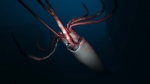 Aquanaut's Holiday의 스크린 샷