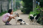 동물과 생명평화를 위한 탁발순례에 함께해요