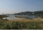 한강변 모습