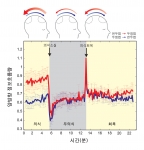 의식 상태, 무의식 상태, 그리고 회복상태에서 전두엽으로 부터 두정엽으로의 정보흐름 양(빨간색)과 두정엽으로부터 전두엽으로의 정보흐름 양(파란색)을 나타냈다.  전체 20개의 뇌파