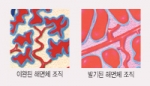 지디웰, 남성 전용 의료기기 ‘조이텍’ 시판