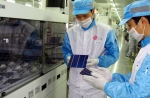 LG Electronics Commences Production of Solar Cells and Modules