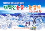 태백산눈꽃열차여행