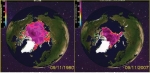 1980년과 2007년의 북극해 해빙 면적 비교