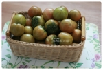 “봄철과일 ‘대저토마토’, 지금이 제맛”