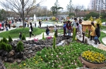울산 동구 한마음회관 분수광장에서 열리는 봄꽃전시회.