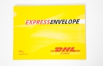 DHL, 익스프레스 엔벨롭(EXPRESS ENVELOPE) 출시