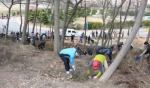 군산대, 남문 및 골프장 야산 주변 철쭉 2,000주 식목