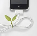 왕춘호 - Leaf tie(나뭇잎 전선정리기)