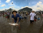 2010 영월동강축제, 풍부한 프로그램 싣고 본격 항해