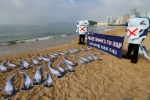 26일, 해운대 해수욕장에서 부산아쿠아리움 관계자들이 샥스핀 반대를 외치는 이색 퍼포먼스를 펼치고 있다.