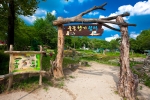 어린이대공원, 대한민국 지도 본뜬 형형색색 대형 꽃단지 등 8色테마 ‘들꽃향기쉼터’ 오픈