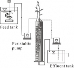 [부분질산화와 ANAMMOX 공정을 이용한 고효율 수직류식 인공습지의 사시도]