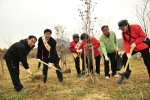 인천시, 2010년도 숲가꾸기 1일 체험행사 개최