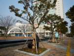 광주시청사 광장 숲 겨울채비 마쳐