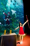 산타아쿠아리스트와 산타 사회자가 수중 마술쇼를 선보이고 있다.