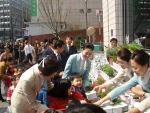 대한항공은 식목일을 맞아 사무실이나 집에서 직접 키울 수 있는 식물 재배 키트(Kit)를 고객과 시민들에게 나눠주는 행사를 갖는다. 사진은 3월 31일 오전 서울 서소문 대한항공 