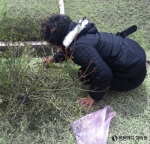 봄내음 잡으려다 무릎관절 잡아요