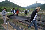충남발전연구원(원장 박진도)은 20일 청양꽃뫼마을을 찾아 농촌봉사활동을 벌이고 있다