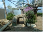 서울동물원, 말레이곰 ‘꼬마’의 새집 완공…사계절 전천후 보금자리로 오픈