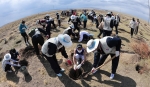 한진그룹은 지구를 푸르게 가꾸는‘글로벌 플랜팅 프로젝트(Global Planting Project)’의 일환으로 몽골 바가노르구 사막에서 5월 9일부터 27일까지 총 3차에 걸쳐 