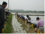 서울시농업기술센터, 서울농업을 체험하는 ‘그린투어’ 프로그램 인기