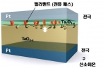 RRAM 저항체 (Resistor)