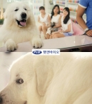 이미지출처 : 펫앤바이오