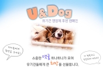 네티즌들이 후원운동을 진행하는 유앤도그 캠페인