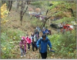 영광 대마면, ‘태청산 등산대회’ 성료