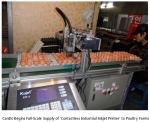 CanDo Begins Full-Scale Supply of ‘Contactless Industrial Inkjet Printer’ to Poultry Farms