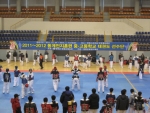 전국 태권도 꿈나무들 영광에서 구슬땀