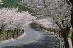 팔공산순환도로