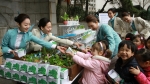 대한항공은 4월 2일 서울 서소문 사옥 앞에서 시민들을 대상으로 손쉽게 채소를 재배할 수 있는 미니 텃밭을 나눠주는 행사를 가졌다. 또한 식목일 당일 인천공항을 제외한 국내 12개