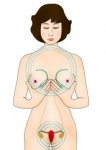 타오월드, 골반 섹서사이즈로 여성 성기능을 개선하는 타오러브 특강 개최