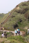 제주 섭지코지