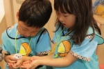 한국생명과학연구소, 여름방학 캠프 및 특강 진행