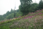 남산 야외식물원