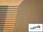 Korea‘s cutting-edge parts & materials company, NNP, developed a ’Eexposure&#039; using lent